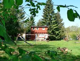 ferienhaus mit pool mecklenburgische seenplatte