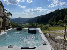 ferienwohnung schwarzwald mit pool