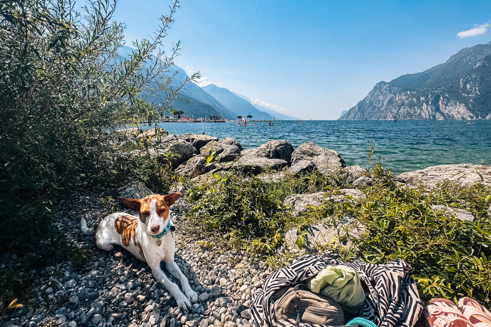 gardasee familienurlaub