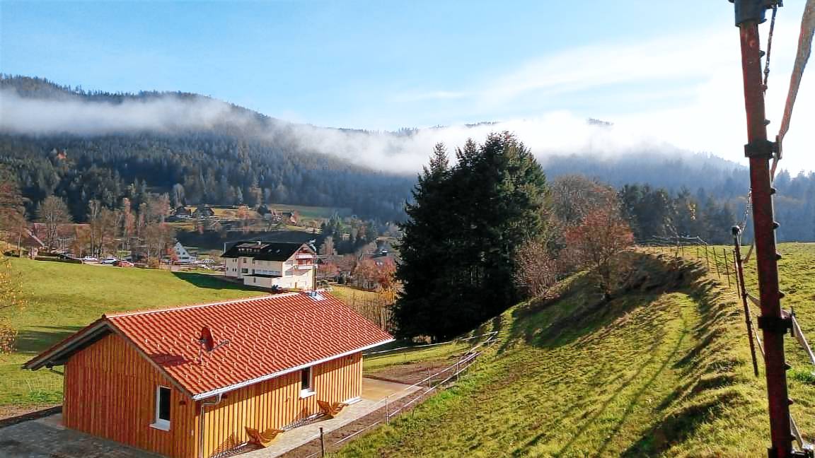pensionen schwarzwald mit hund