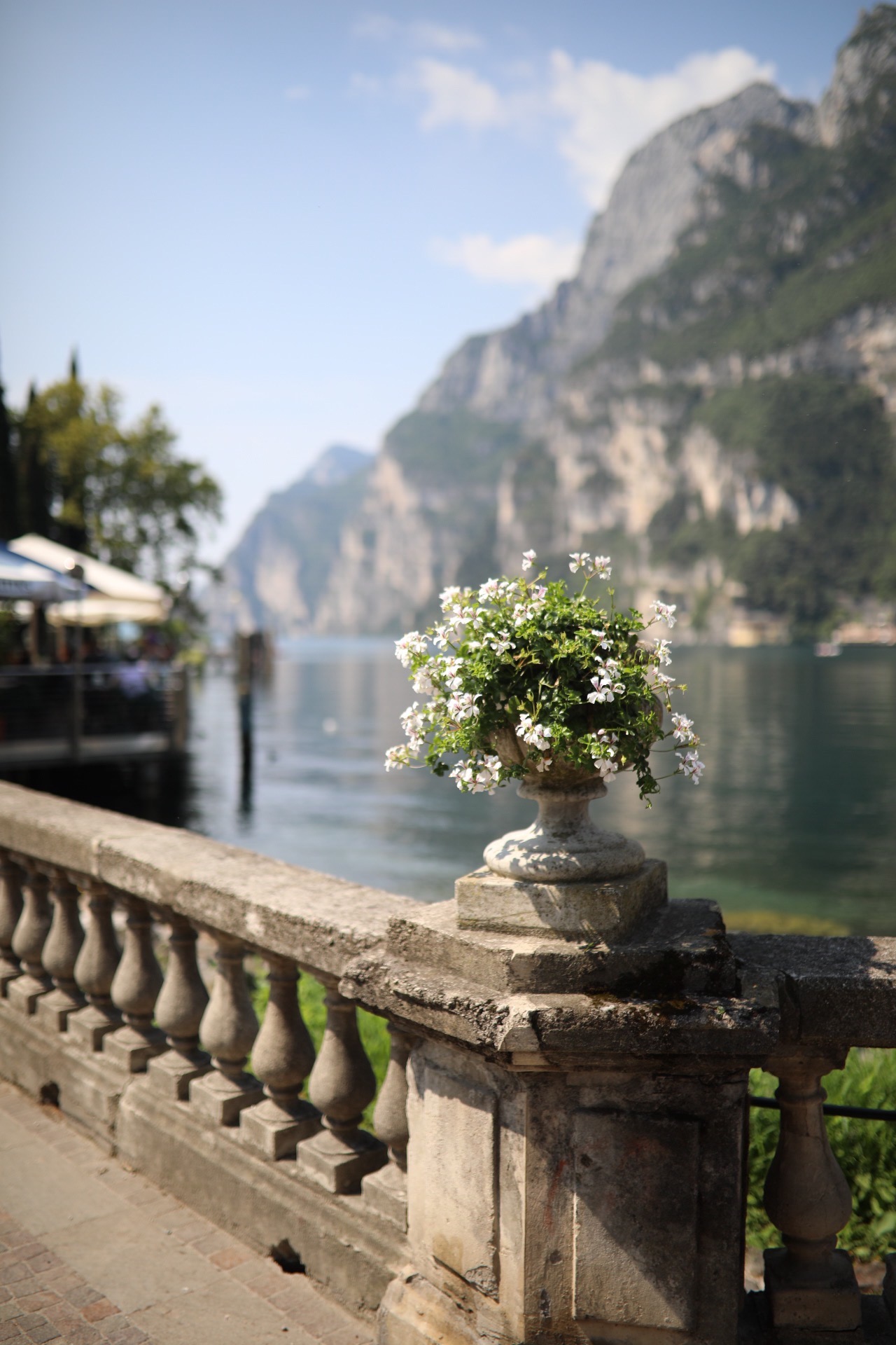urlaub familie gardasee